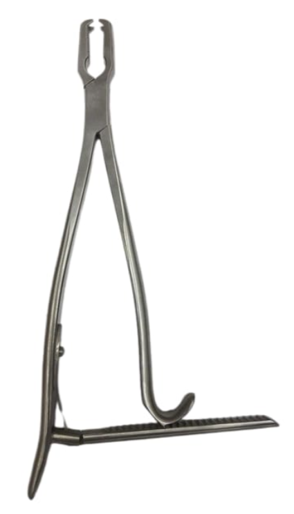 Kern bone holding forceps