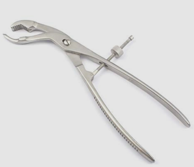 Verbrugge bone holding forceps