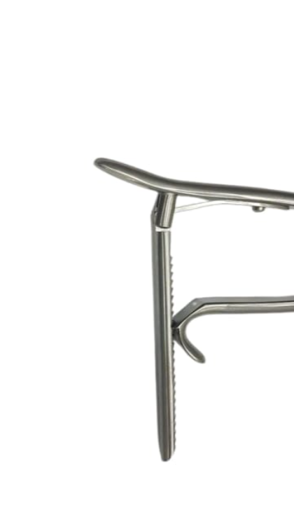 Kern bone holding forceps